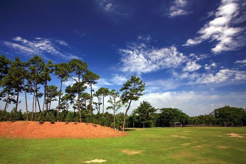 Figure 5. Softball Field