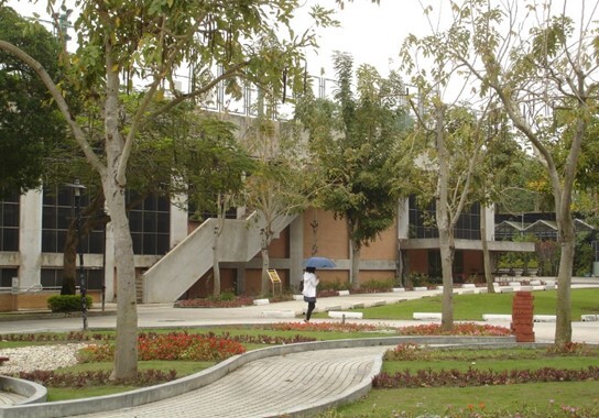 Figure 3. Pedestrian Trail, Jinde Campus (1)