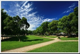 Figure 7. Pedestrian Trail, Baoshan Campus (3)