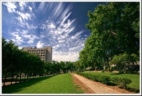 Figure 8. Pedestrian Trail, Baoshan Campus (4)