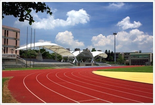 Figure 4. Sports Field