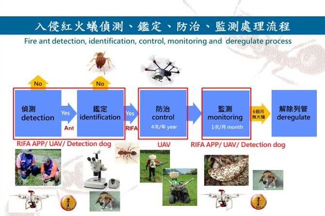 Figure 7. Data model analysis and establishment of an innovative platform for invasive red fire ants. The project made significant contributions to the ongoing scientific debate on the causes of global invasive imported red fire ants as well as control measures for the fire ants, the impact on agriculture and economy, and the scientific development of Taiwan