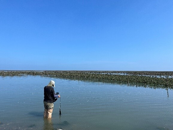 Figure 2. Water quality observation at the observation station along the coast of Fangyuan after the algal bloom incident