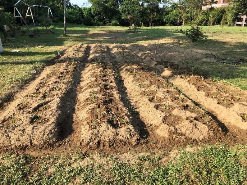 Figure 1. Leading students in establishing the agricultural education area (Happy Farm)