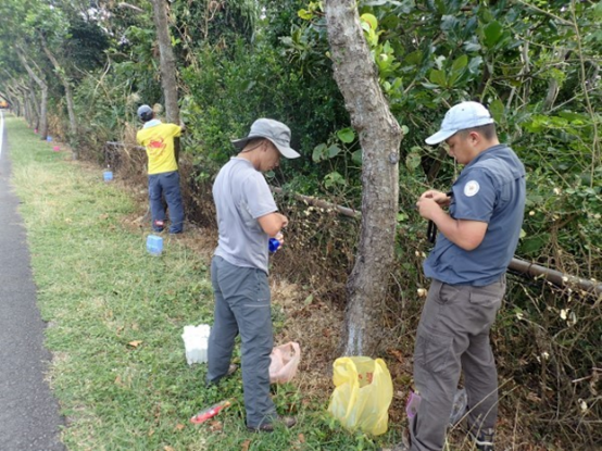 Figure 9. Prevention personnel and ant protection volunteers have set up  yellow crazy ant bait stations in Kenting