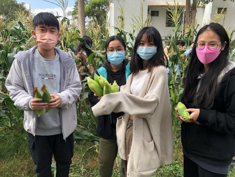 Figure 5. Students harvested and cooked corns on site