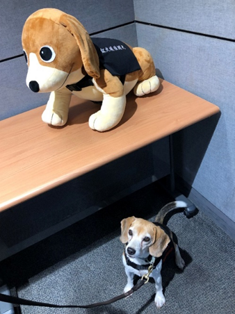 Figure 1. Taoyuan International Airport RIFA Education and Training Course,  as well as a demonstration with detection dogs