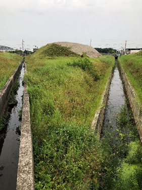 Figure 1. NCUE Taoyuan International Airport RIFA Control Team has strengthened fire ant control work in the airport’s drainage channels