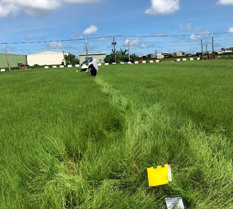 Figure 1. Pastures in Fuxing Township, Changhua County