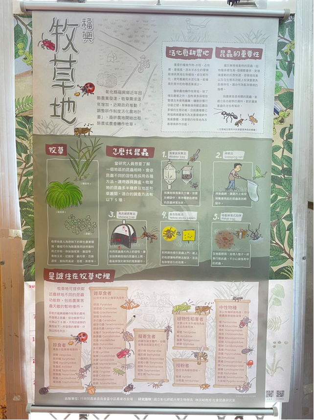 Figure 3. A poster of insect fauna found in the pastures in  Fuxing Township, Changhua County