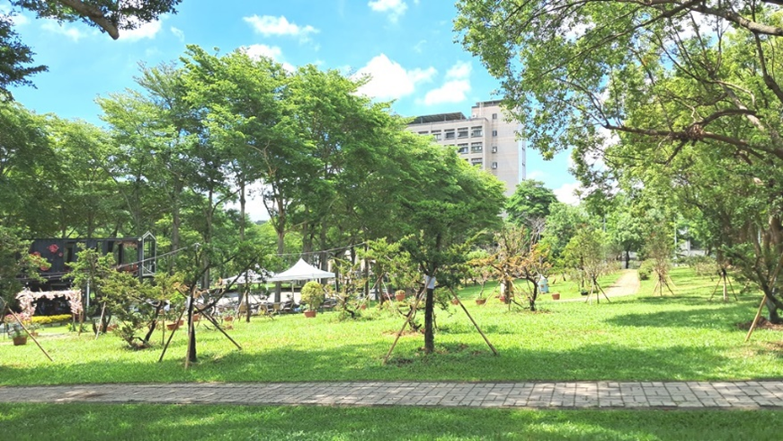 Figure 5. Campus walkway