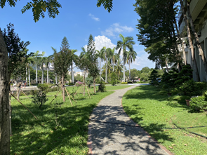 Figure 3. Pedestrian Path on the Jinde Campus (1)