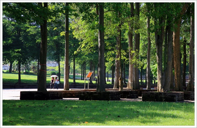 Figure 5. Pedestrian Path on the Baoshan Campus (1)