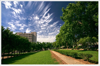 Figure 8. Pedestrian Path on the Baoshan Campus (4)