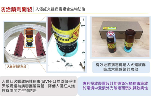 Development and application of microbial control for the increasingly severe problem of harmful ants in agricultural environments. The project focuses on the design, development, and application research of microbial pesticide technology for harmful ants on crops, as well as developing its practical value and commercial potential