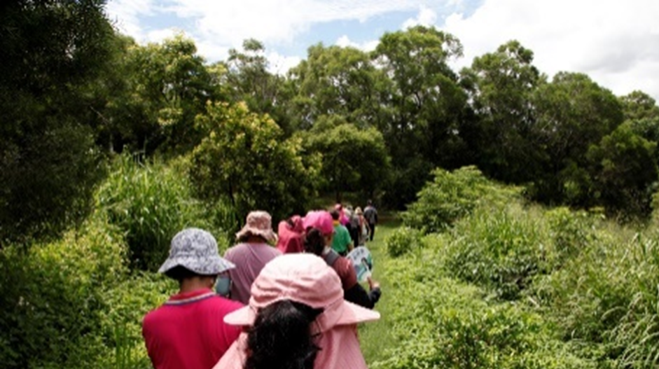 Exploring the Xiangshan Trail