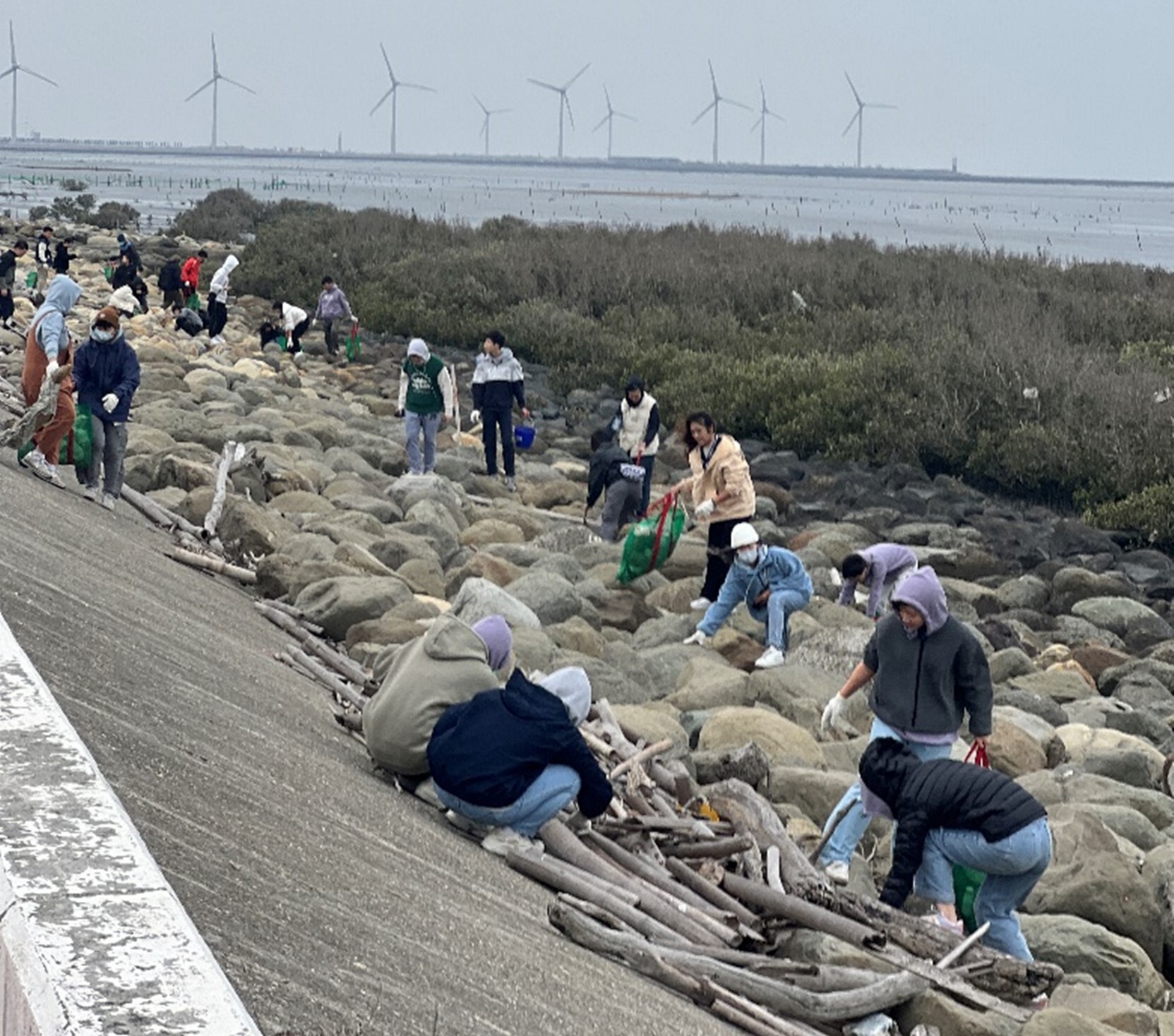 beach cleanup event