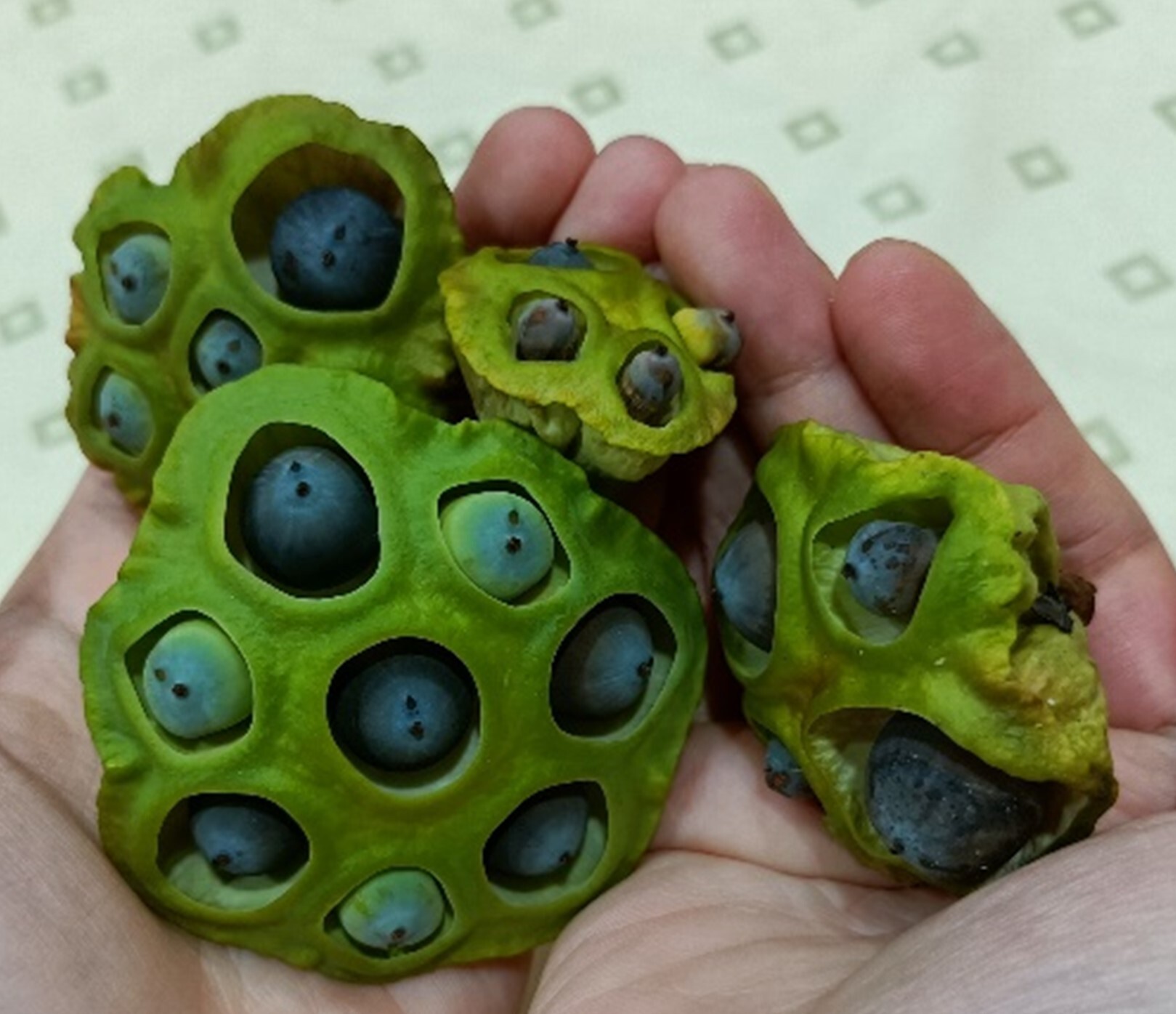 Delicious lotus seeds and freshly brewed lotus tea