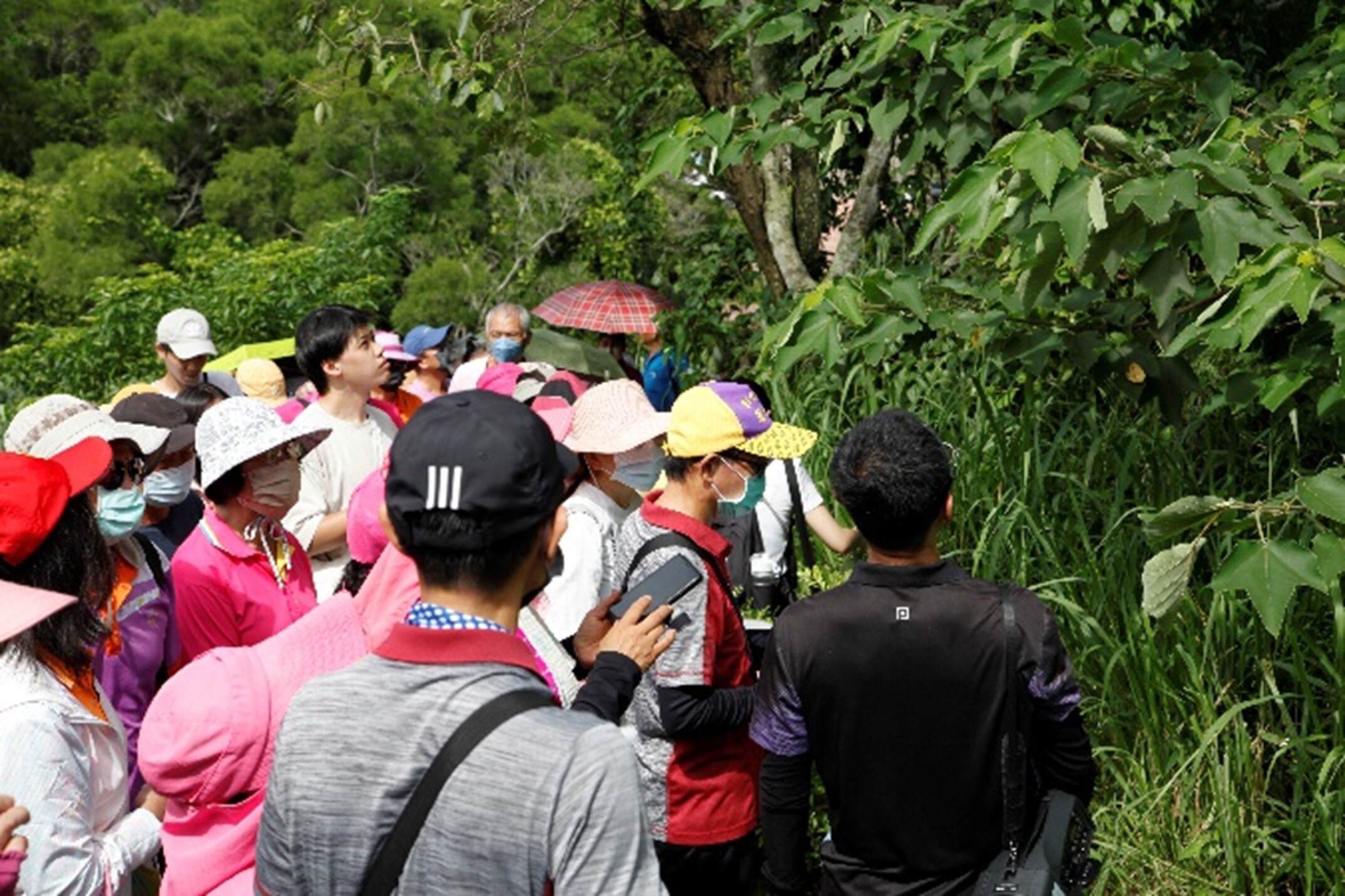 Lead participants in hands-on training at the Siangshan Ecological Park