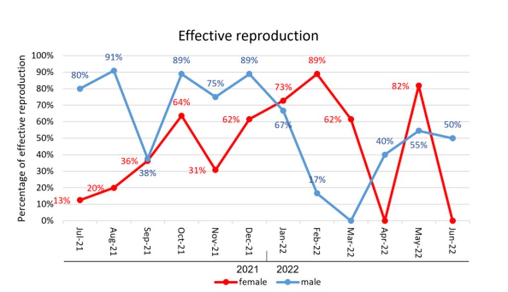 Effective Reproductive Month Trends for Male and Female Mytella strigata