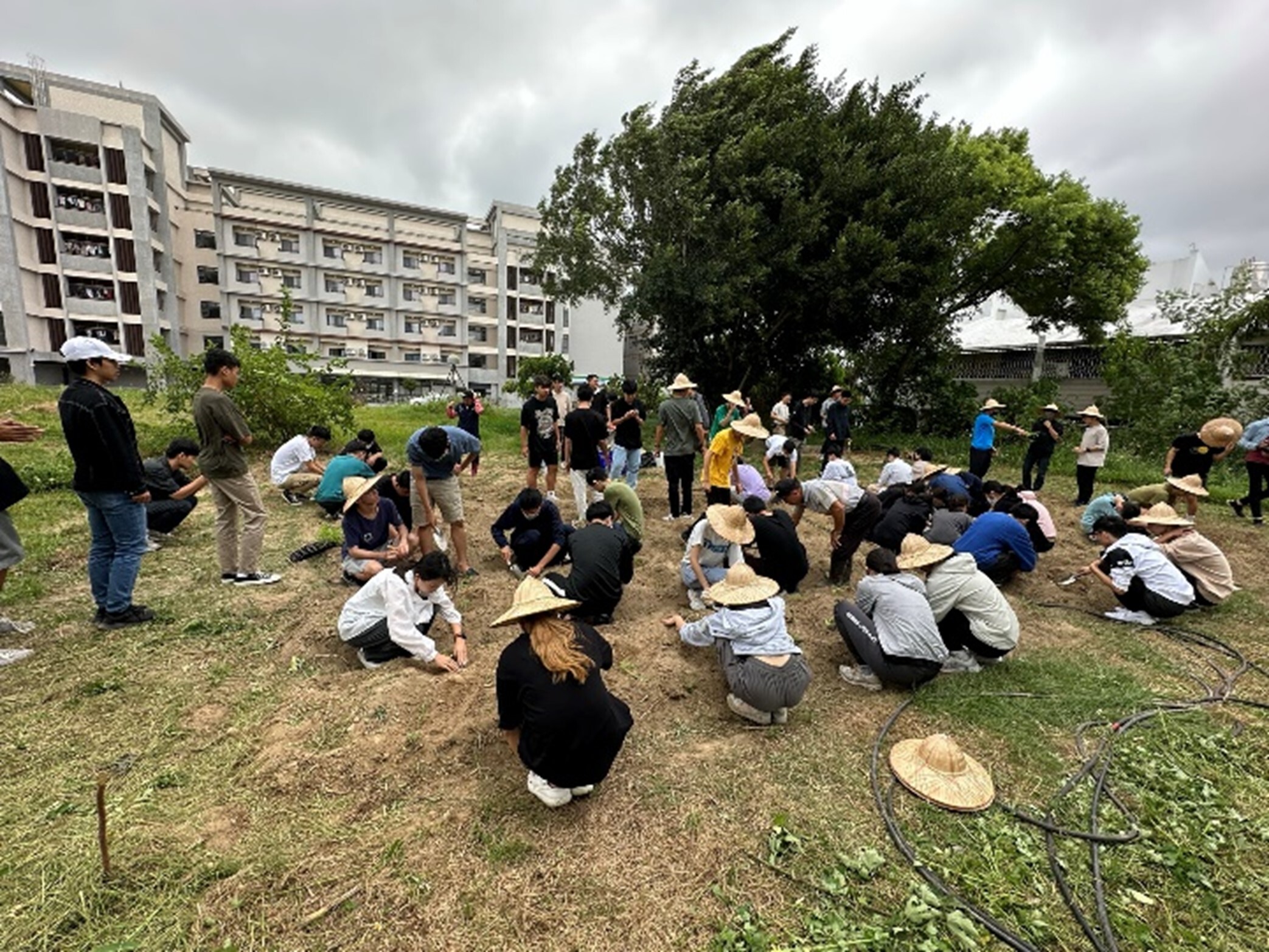 Students' hands-on cultivation experience