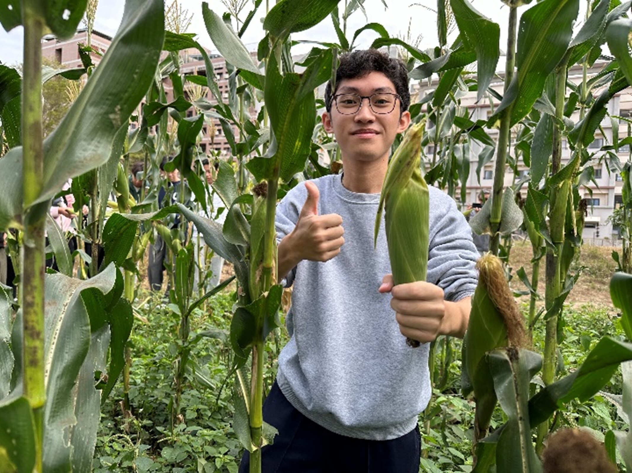 Harvest results