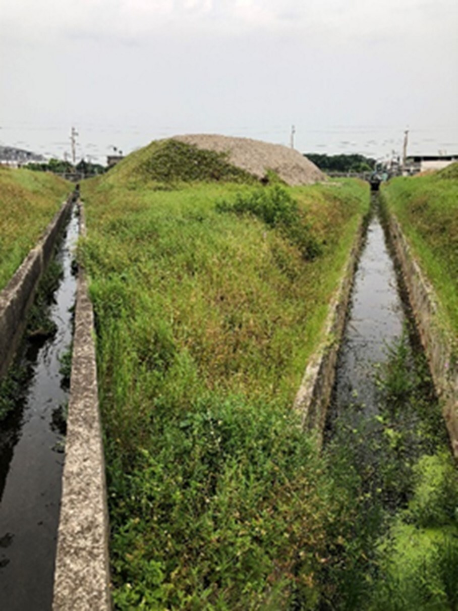 NCUE Taoyuan International Airport RIFA Control Team has strengthened fire ant control work in the airport's drainage channels