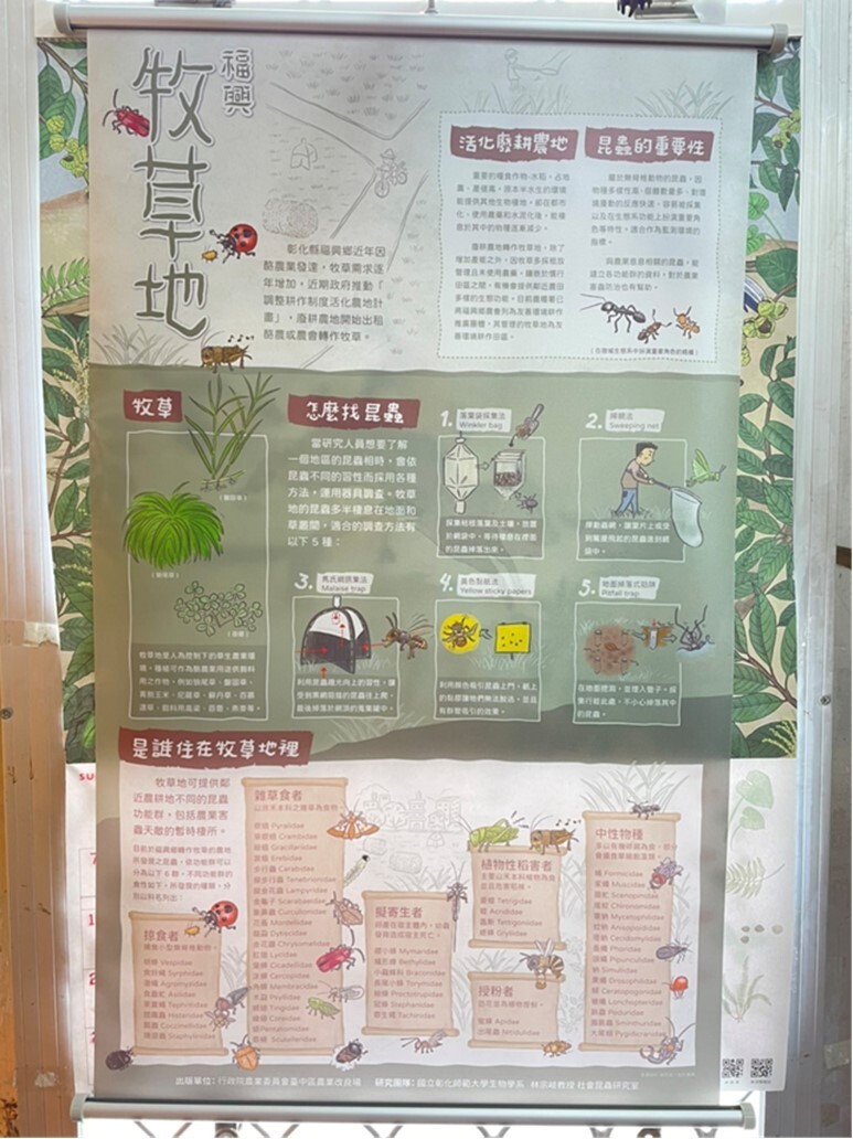 A poster of insect fauna found in the pastures in Fuxing Township, Changhua County