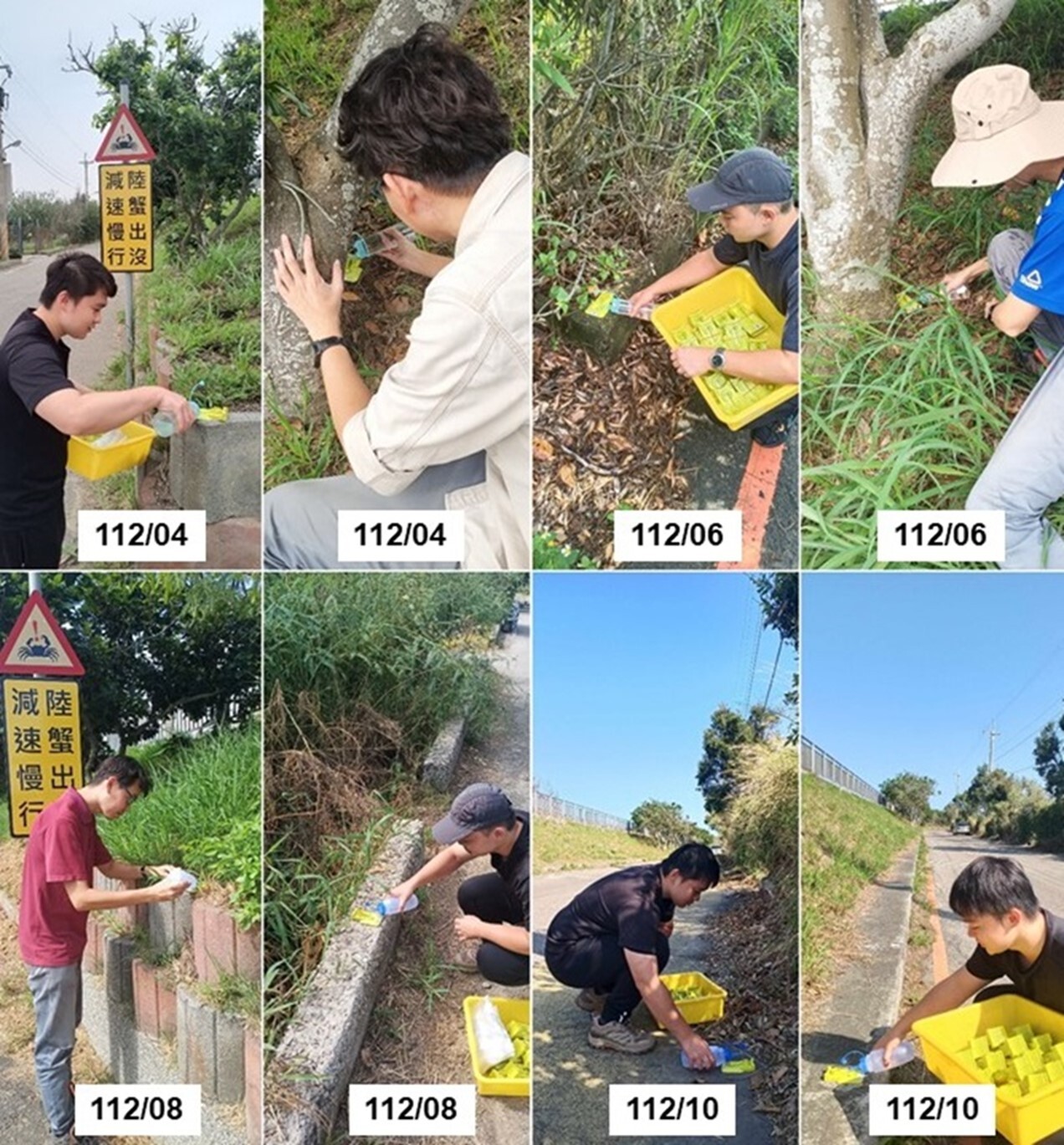 Placing liquid bait stations in the sample areas; the investigation conducted from April to October 2023