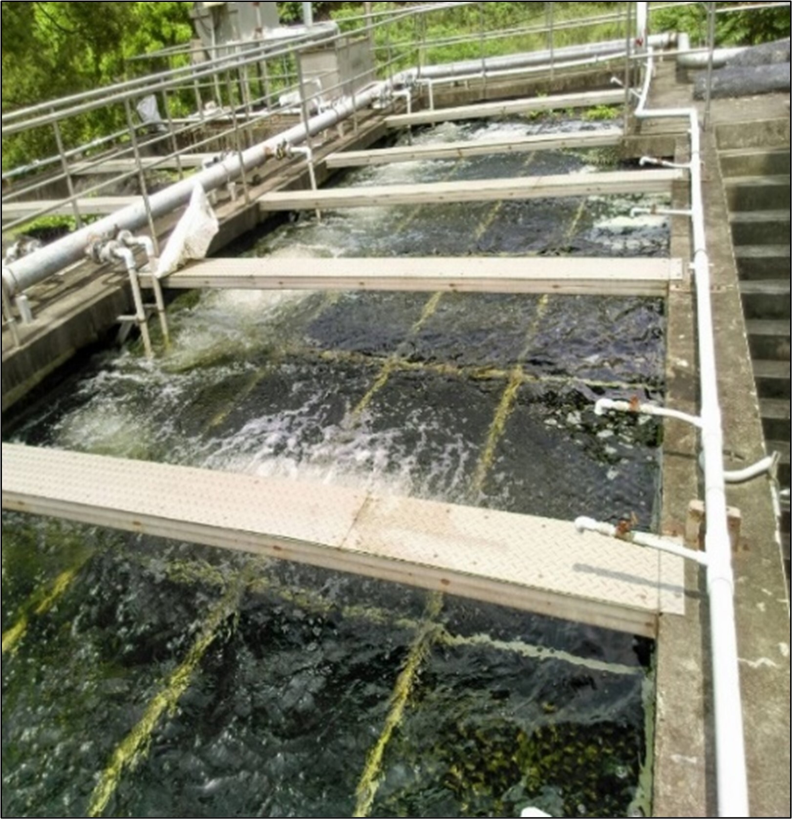 Baoshan Campus Wastewater Treatment Plant