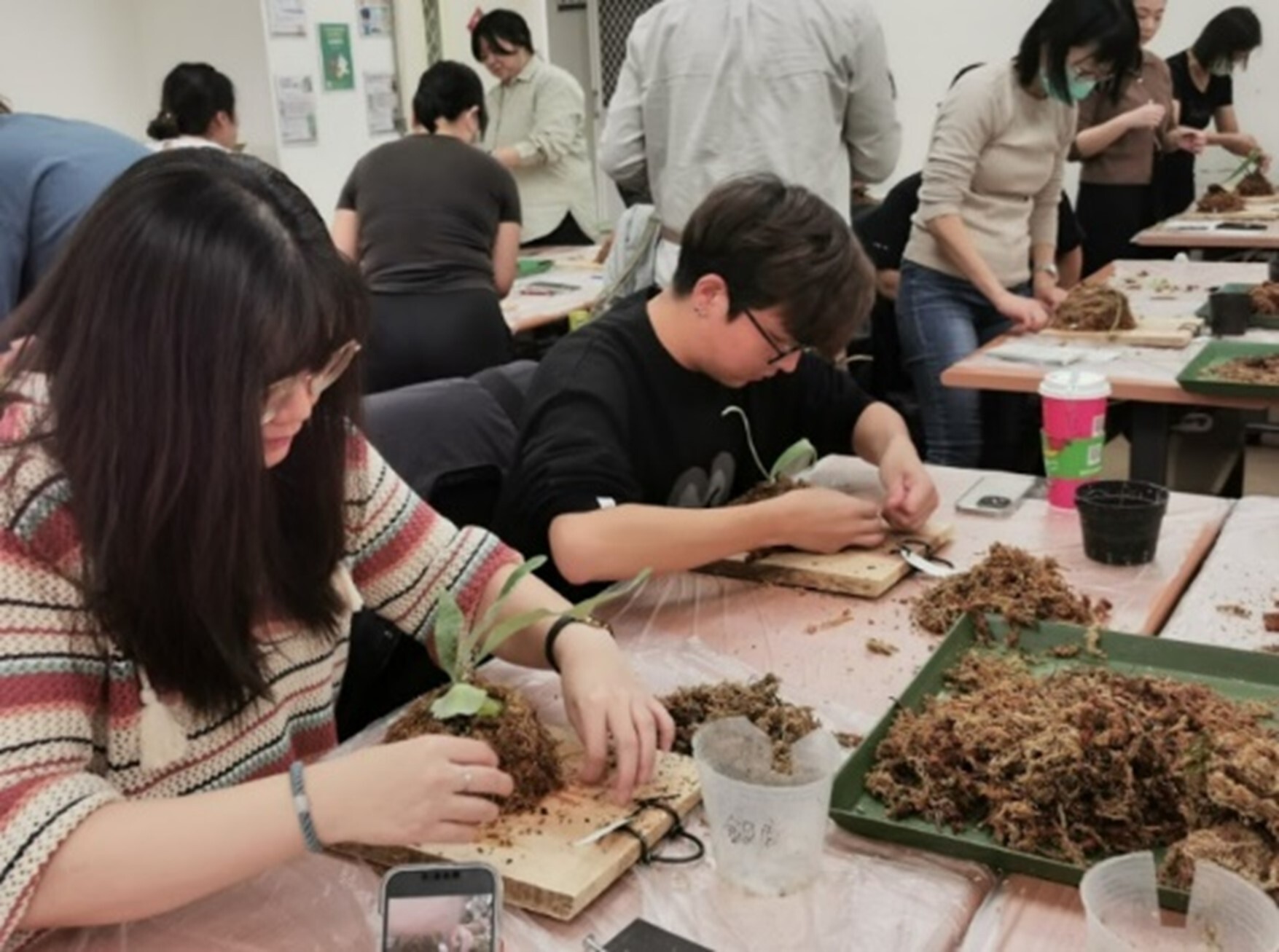 Continuing Education Course - Elk Horn Fern Potted Plant Basic Cultivation Class