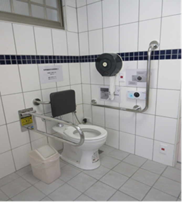 Figure 6: Accessible toilet