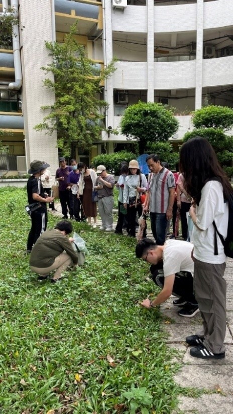 Figure 20. Surveying Plant Types and Functions