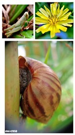 Figure 18. Student Works