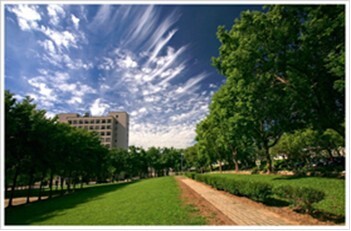 Figure 8. Pedestrian Path on the Baoshan Campus (4)