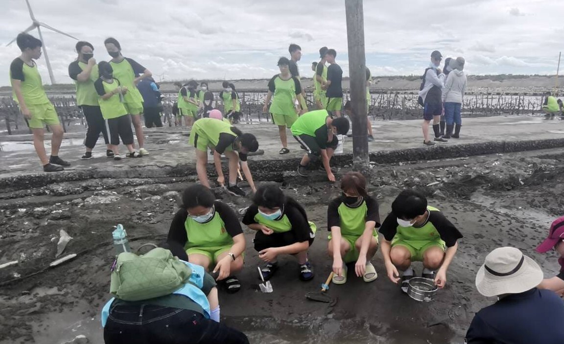 Figure 3. Meretrix lusoria Habitat Observation and Survey