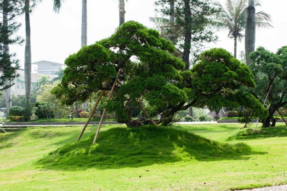 Figure 1. Jinde Campus - Extensive grass vegetation to reduce water loss