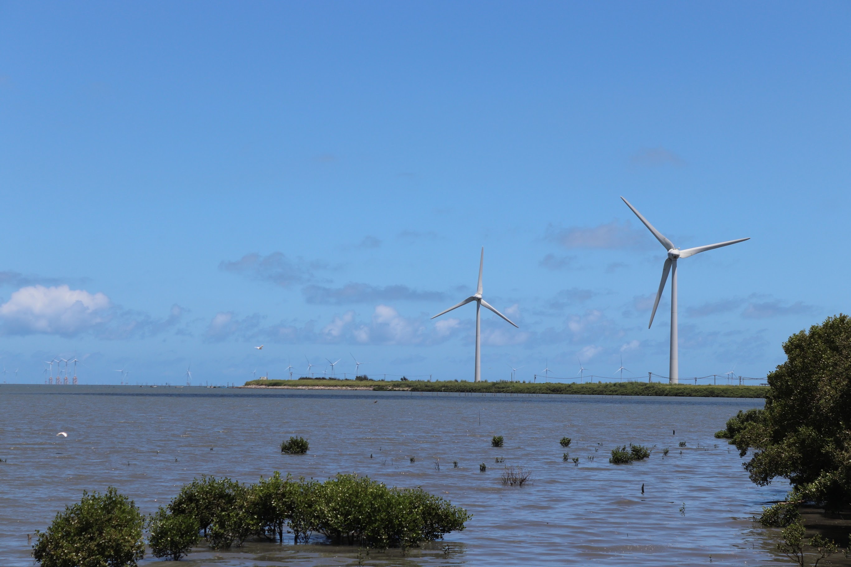 Figure 11. Wind Turbines along Fangyuan Coast