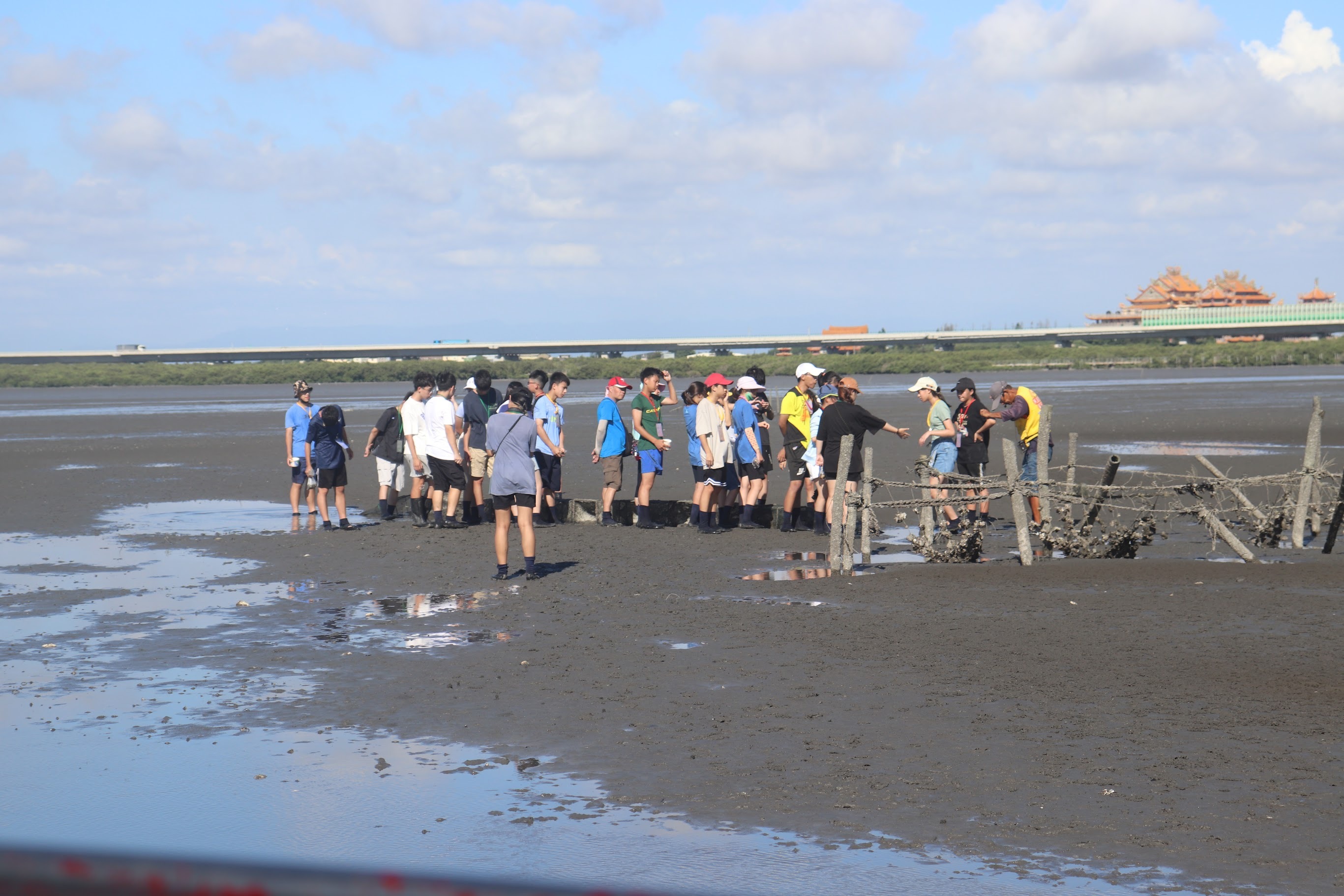 Figure 13. Oyster harvesting activity