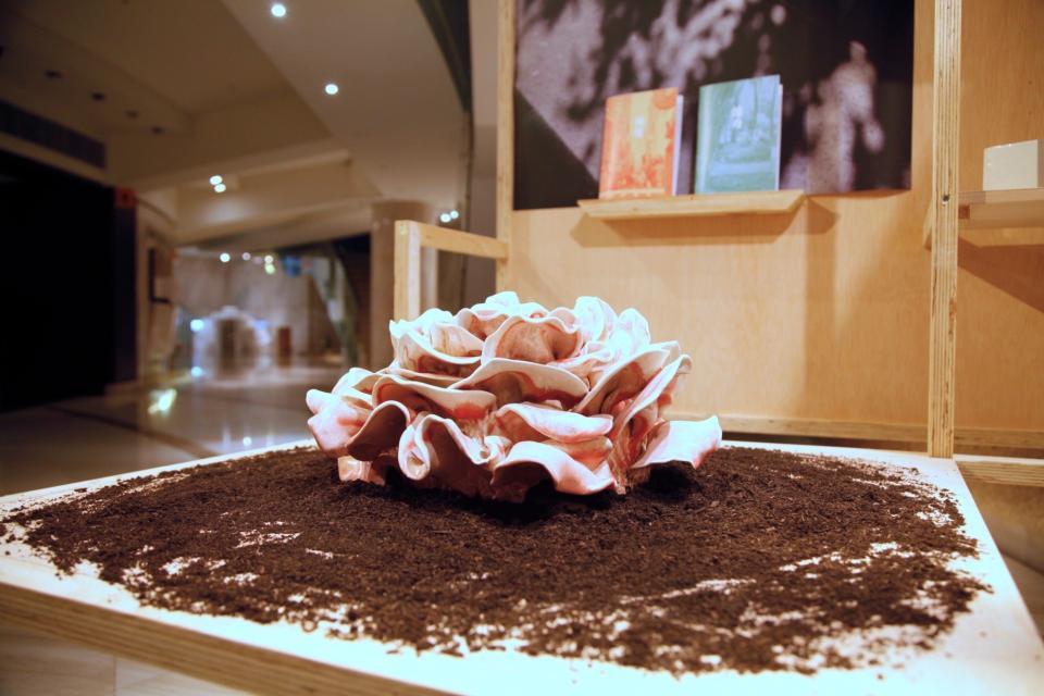 Figure 27. Artwork Record of “Eco Art & Eco Ark” Ecological Art Exhibition