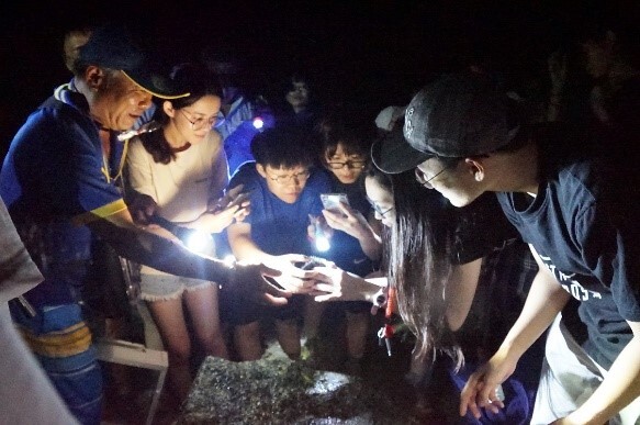 Figure 7: Under the guidance of the ecological counsellor, an ecological awareness activity was carried out in an intertidal zone at night