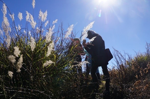 Figure 9: Holding biodiversity-related courses at Hehuan Mountain Ecological Park to explore the sustainable use of ecosystems and management of forests