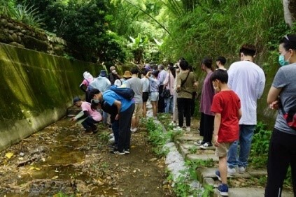 “Teacher Study Activity: Outdoor Ecological Exploration of Amorphophallus hirtus on Changhua Shipaikeng Water Trail”