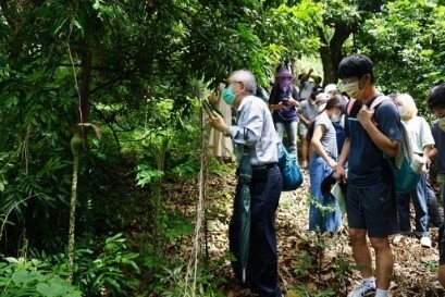 “Teacher Study Activity: Outdoor Ecological Exploration of Amorphophallus hirtus on Changhua Shipaikeng Water Trail”