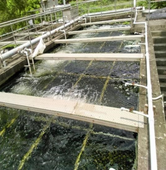 Maintenance of sewage treatment plants: