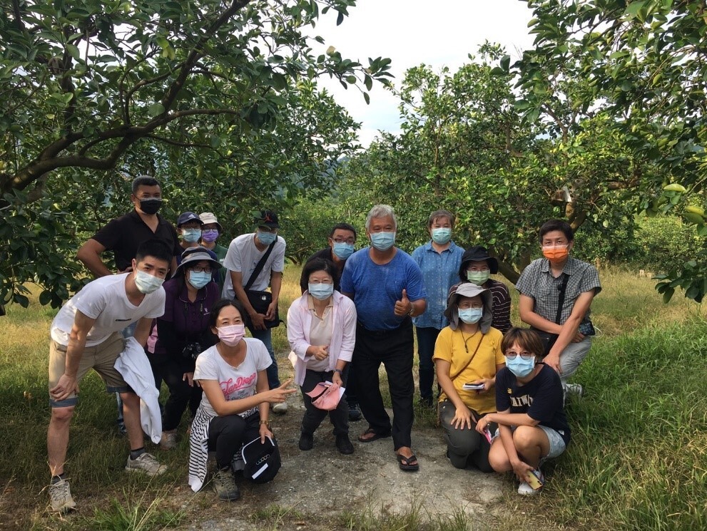 A pomelo garden in Majuli, Hegang Village, Hualien