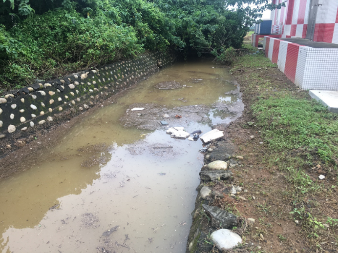 Taoyuan International Airport RIFA control team of NCUE strengthening RIFA control in the airport drainage ditches