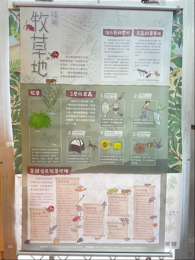 A poster of insect fauna found in the pastures in Fuxing Township, Changhua County 