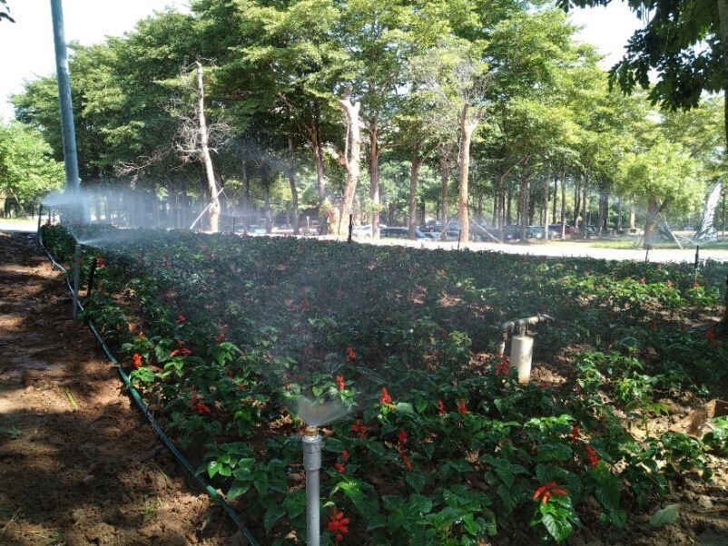 Sprinkler irrigation system at the triangular flowerbed, Bao-Shan Campus