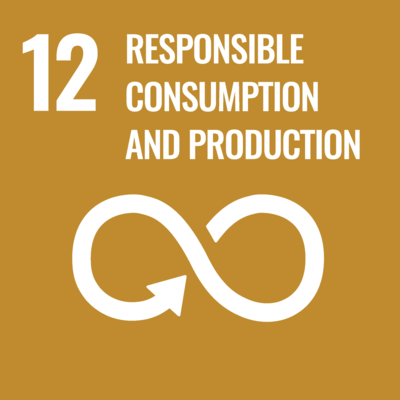 Link to SDG12